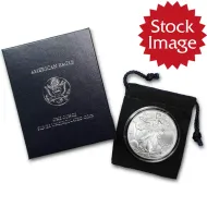 2006 W Burnished American Silver Eagle