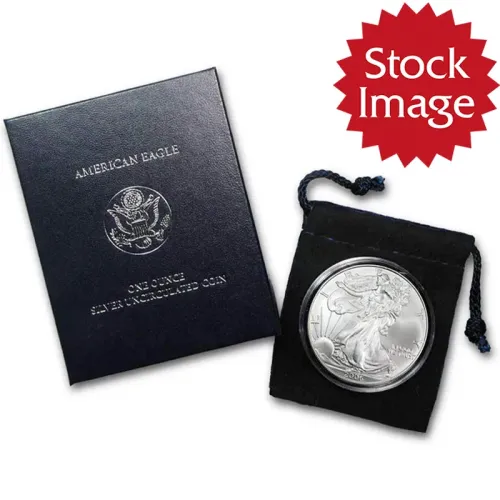 2006 W Burnished American Silver Eagle