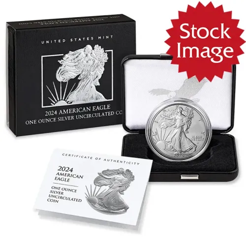 2024 W Burnished American Silver Eagle