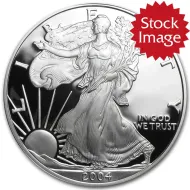 2004 American Silver Eagle - Proof (Coin Only)
