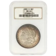 1880 S Morgan Dollar - NGC MS 64 Toned