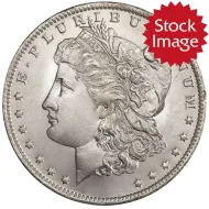 1901 O Morgan Dollar - Brilliant Uncirculated