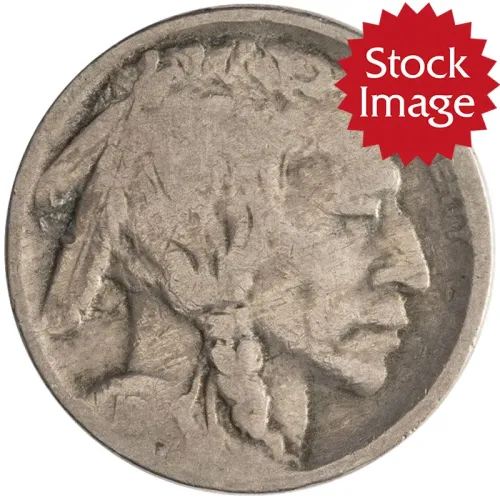1920 D Buffalo Nickel - VG (Very Good)