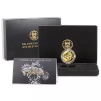 2021 W $100 American Liberty High Relief Gold Coin