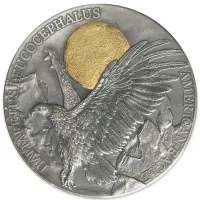 Click to enlarge